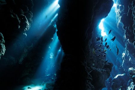 Abu Galum & Blue Hole Safari from Sharm