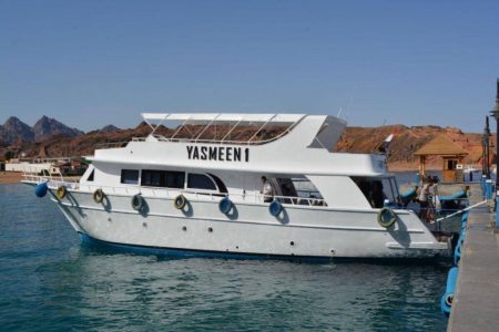 Private boat for a full day sea trip from Sharm El Sheikh