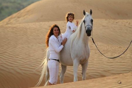 Sharm Desert Horse Riding